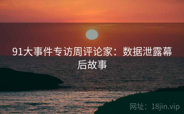 91大事件专访周评论家：数据泄露幕后故事
