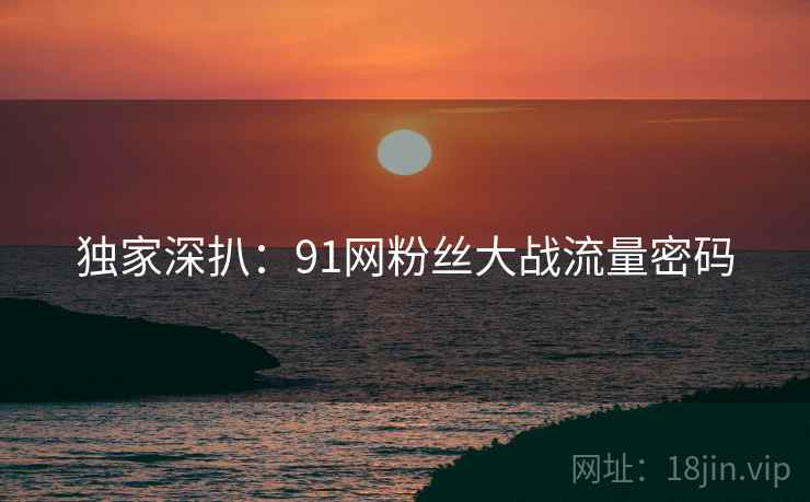 独家深扒：91网粉丝大战流量密码