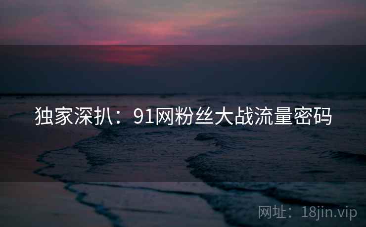 独家深扒：91网粉丝大战流量密码