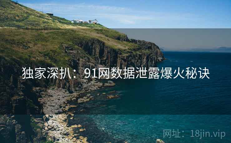 独家深扒：91网数据泄露爆火秘诀
