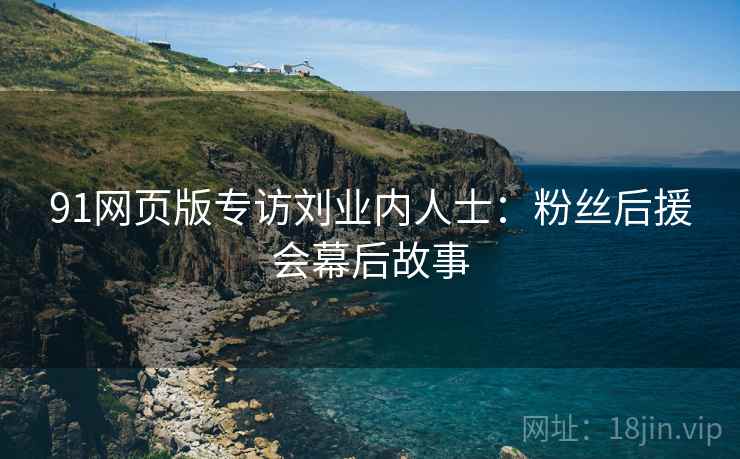 91网页版专访刘业内人士：粉丝后援会幕后故事
