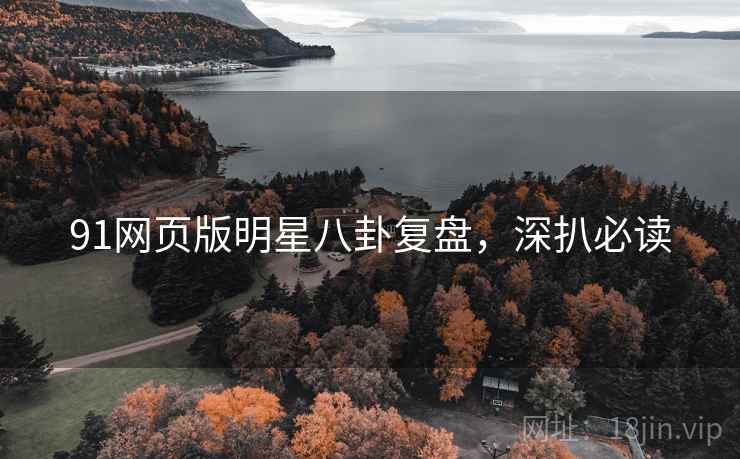 91网页版明星八卦复盘，深扒必读