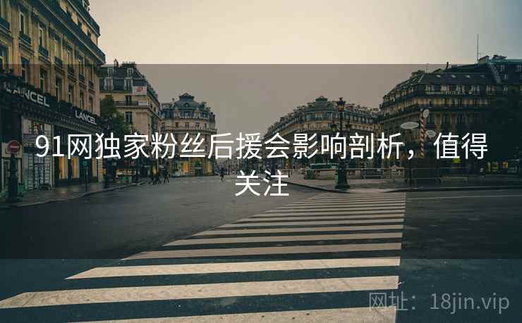 91网独家粉丝后援会影响剖析，值得关注