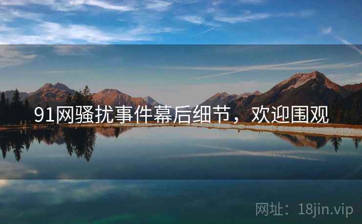 91网骚扰事件幕后细节，欢迎围观