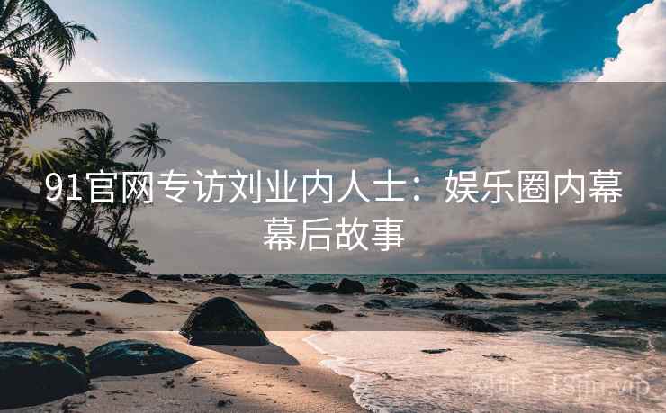 91官网专访刘业内人士：娱乐圈内幕幕后故事