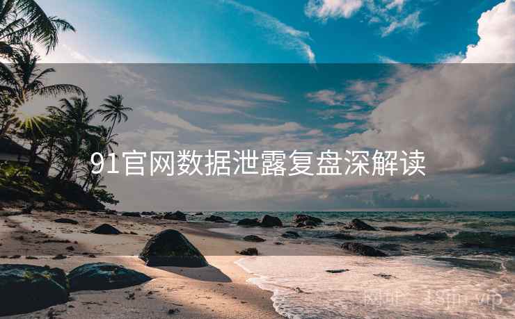 91官网数据泄露复盘深解读