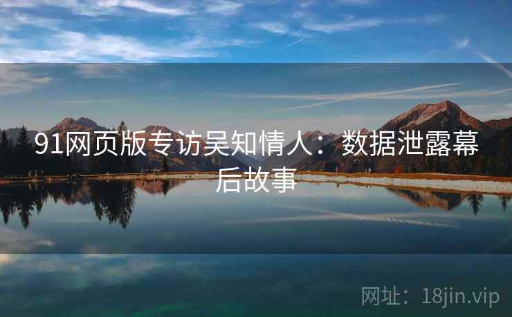 91网页版专访吴知情人：数据泄露幕后故事