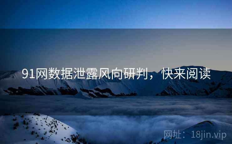 91网数据泄露风向研判，快来阅读