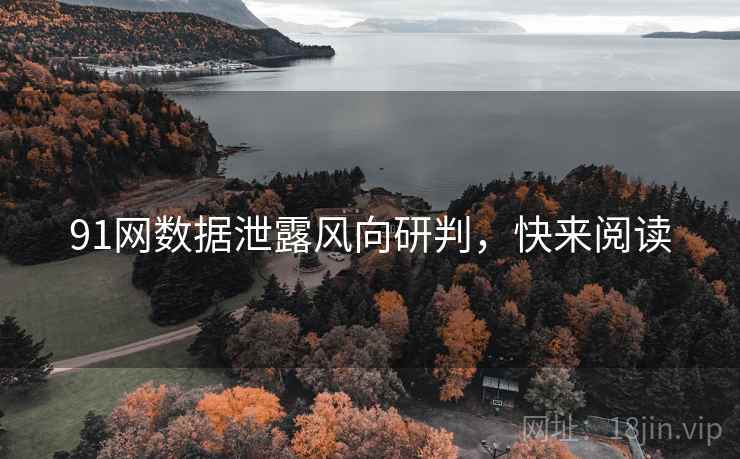 91网数据泄露风向研判，快来阅读
