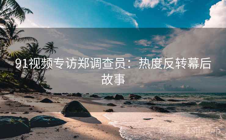91视频专访郑调查员：热度反转幕后故事
