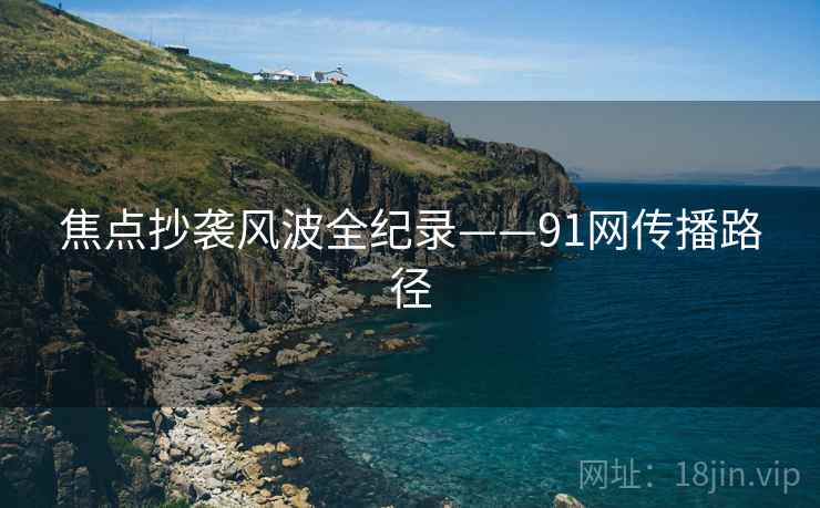 焦点抄袭风波全纪录——91网传播路径