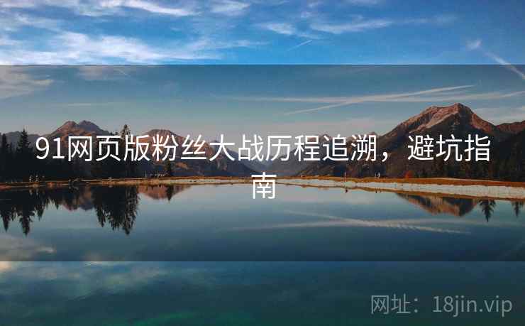 91网页版粉丝大战历程追溯，避坑指南