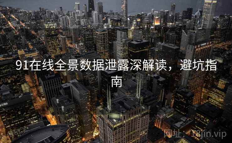 91在线全景数据泄露深解读，避坑指南