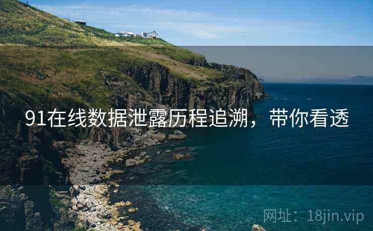 91在线数据泄露历程追溯，带你看透