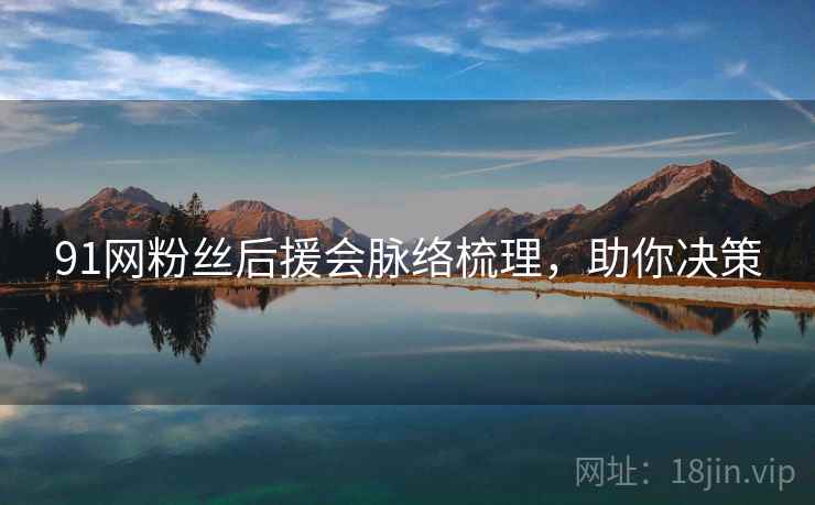 91网粉丝后援会脉络梳理，助你决策