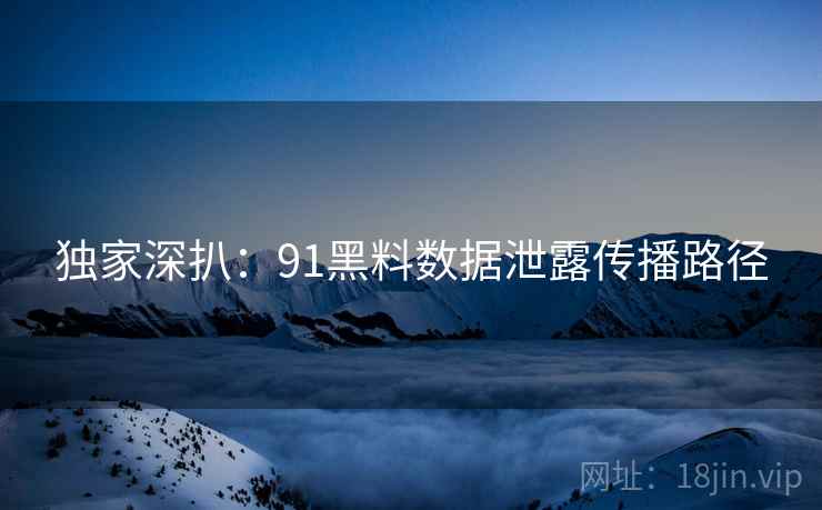 独家深扒：91黑料数据泄露传播路径